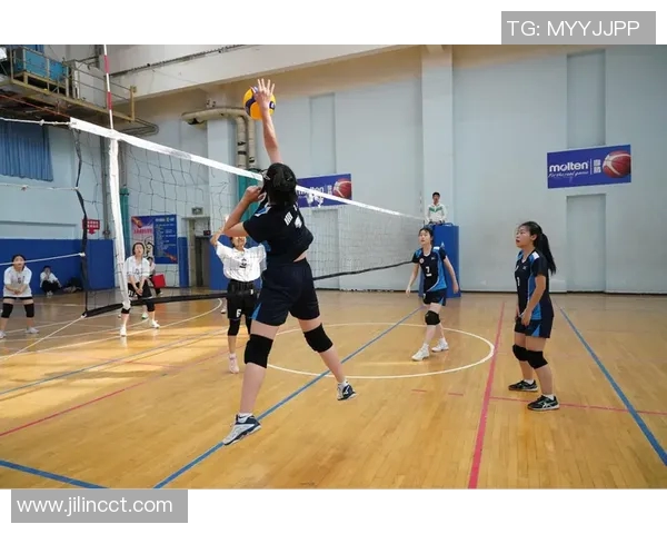 西安排球队配合革新引发热议排球战术新篇章的探索与实践